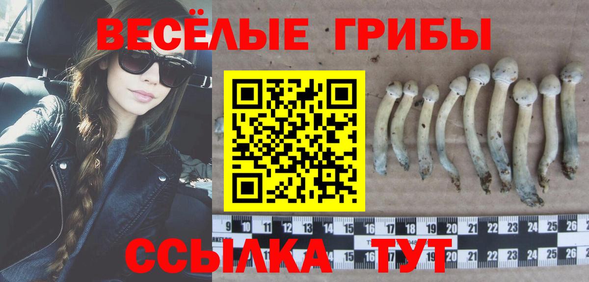 Псилоцибиновые грибы мухоморы Альметьевск