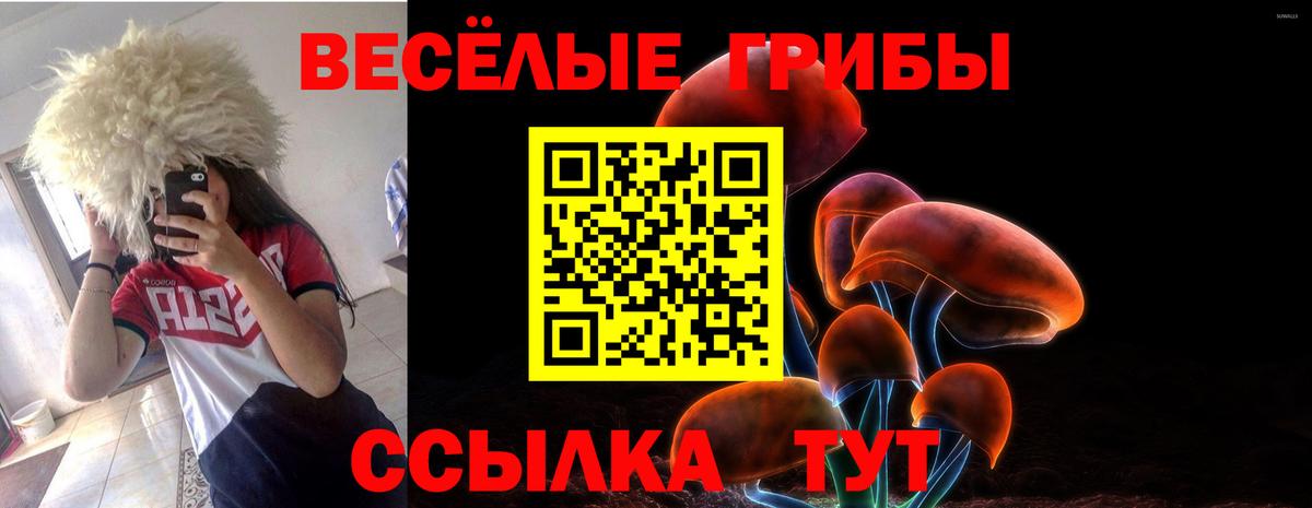 Галлюциногенные грибы мухоморы  Галлюциногенные грибы Psilocybine cubensis  где можно купить   Альметьевск  Вход с VPN 
